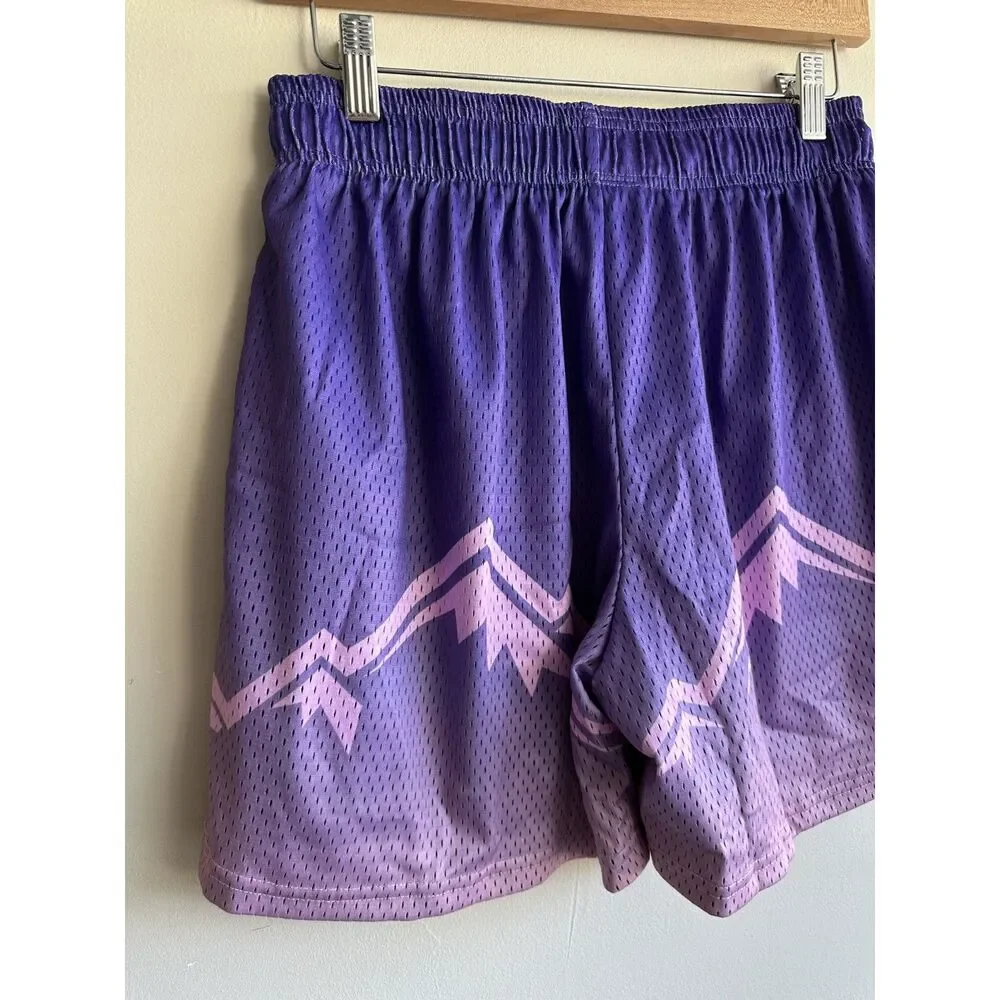 Inaka Power Purple Mountain Mesh Shorts Men’s Medium Purple Lavender Limited IP